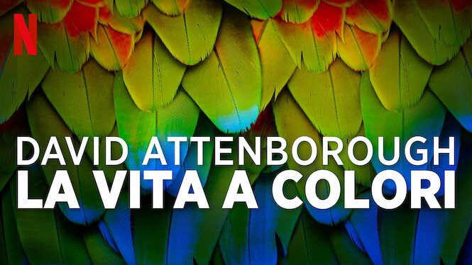 David Attenborough: la vita a colori